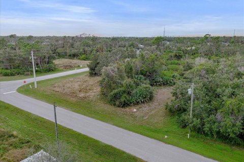 Land in Rotonda, Florida № 2159888 - photo 19