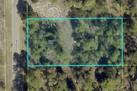 Land in Lehigh Acres, Florida № 2217337