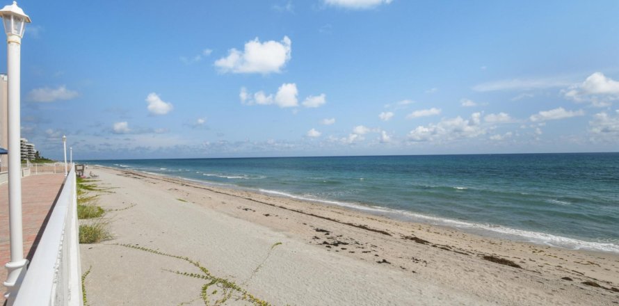 Condo à Palm Beach, Floride, 2 chambres № 1182632