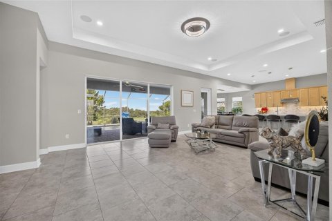 Villa ou maison à vendre à Wimauma, Floride: 3 chambres, 284 m2 № 2324275 - photo 28
