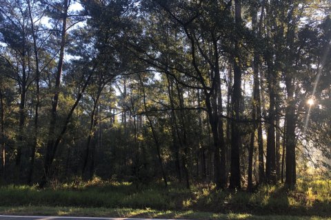 Land in Jacksonville, Florida № 765880 - photo 1