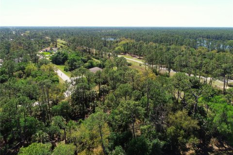 Land in North Port, Florida № 2165623 - photo 6