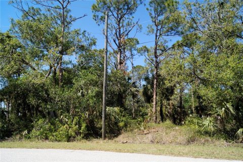 Land in North Port, Florida № 2165623 - photo 4