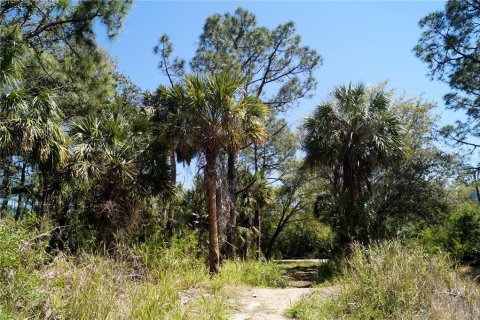 Land in North Port, Florida № 2165623 - photo 3