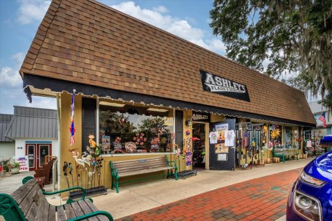 Commercial property in Mount Dora, Florida № 2233778