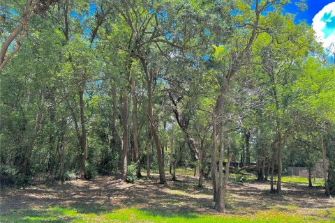 Villa ou maison à vendre à Brooksville, Floride: 3 chambres, 141.95 m2 № 1745060 - photo 6