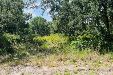Commercial property in Lake Placid, Florida № 2179340
