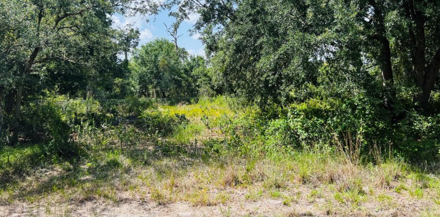Commercial property in Lake Placid, Florida № 2179340