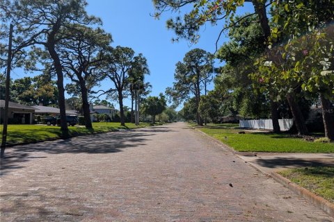 Villa ou maison à louer à Saint Petersburg, Floride: 3 chambres, 157.84 m2 № 2406828 - photo 24