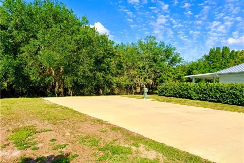 Land in Webster, Florida № 2166719 - photo 3