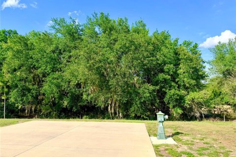 Land in Webster, Florida № 2166719 - photo 5