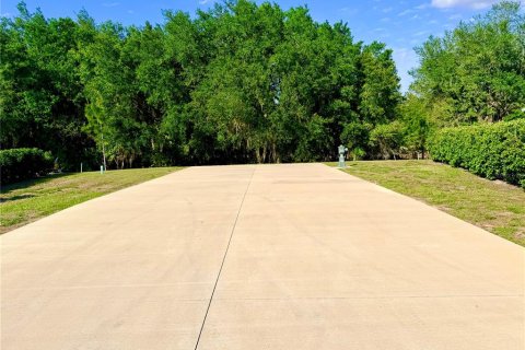 Land in Webster, Florida № 2166719 - photo 2