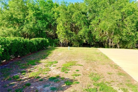 Land in Webster, Florida № 2166719 - photo 4