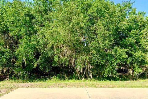 Land in Webster, Florida № 2166719 - photo 6