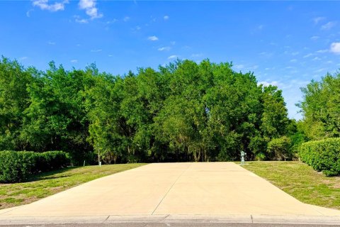 Land in Webster, Florida № 2166719