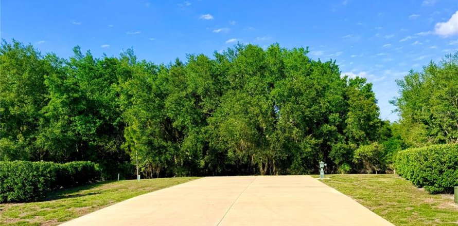 Land in Webster, Florida № 2166719
