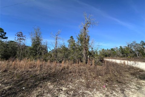 Terrain à vendre à Williston, Floride № 2165165 - photo 3
