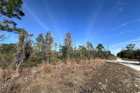 Terrain à vendre à Williston, Floride № 2165165 - photo 2