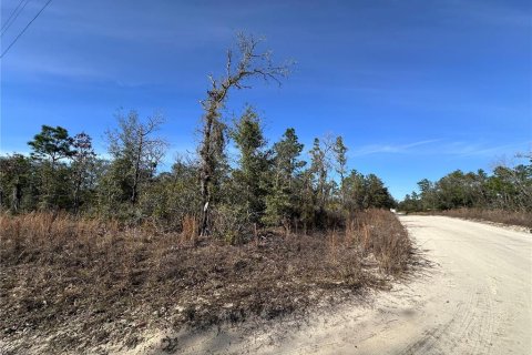Terrain à vendre à Williston, Floride № 2165165 - photo 4