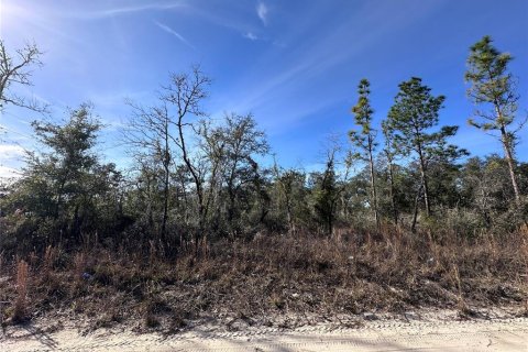 Terrain à vendre à Williston, Floride № 2165165 - photo 6