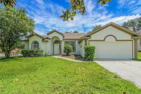 Villa ou maison à vendre à Leesburg, Floride: 3 chambres, 147.25 m2 № 1899100 - photo 1