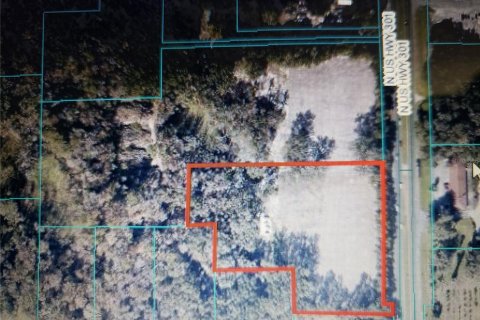 Land in Citra, Florida № 1602763 - photo 2