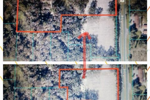 Land in Citra, Florida № 1602763 - photo 1