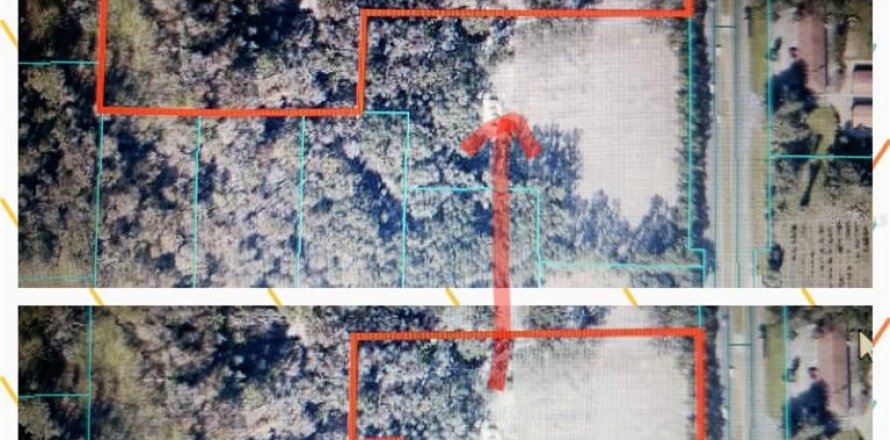 Land in Citra, Florida № 1602763