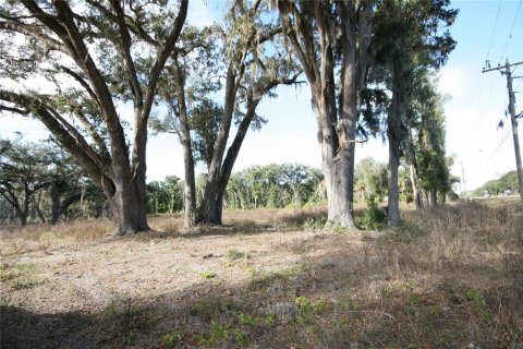Terrain à vendre à Citra, Floride № 1602763 - photo 26