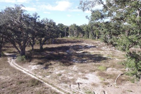 Terrain à vendre à Citra, Floride № 1602763 - photo 5