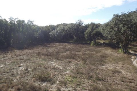 Terrain à vendre à Citra, Floride № 1602763 - photo 4