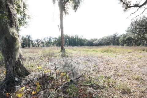 Terrain à vendre à Citra, Floride № 1602763 - photo 27