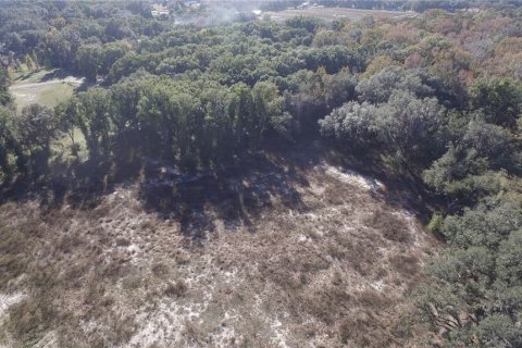 Terrain à vendre à Citra, Floride № 1602763 - photo 6