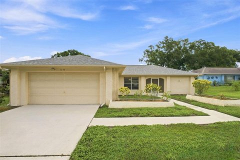 Villa ou maison à Palm Harbor, Floride 2 chambres, 164.9 m2 № 2358784