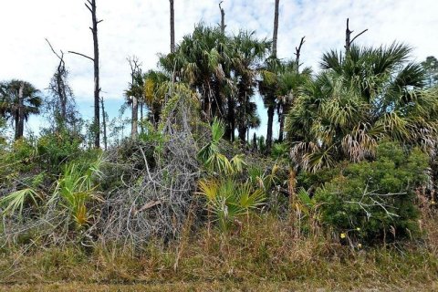 Land in North Port, Florida № 2163491 - photo 2