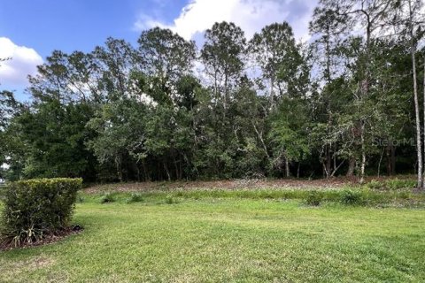 Villa ou maison à vendre à Lakeland, Floride: 3 chambres, 199.46 m2 № 1687880 - photo 7