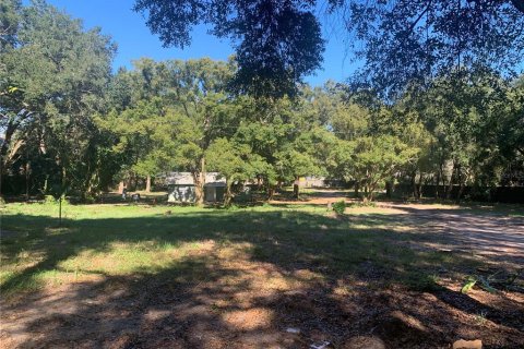 House in Brandon, Florida 2 bedrooms, 232.16 sq.m. № 1733882 - photo 4