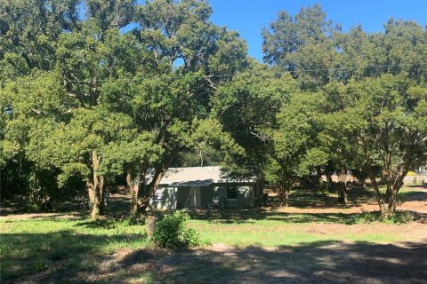 House in Brandon, Florida 2 bedrooms, 232.16 sq.m. № 1733882 - photo 7
