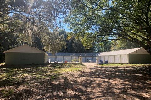 House in Brandon, Florida 2 bedrooms, 232.16 sq.m. № 1733882 - photo 1