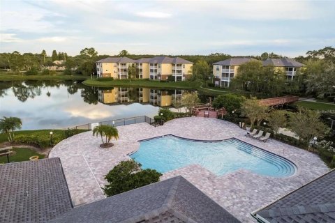 Condo in Tampa, Florida, 1 bedroom  № 2212515