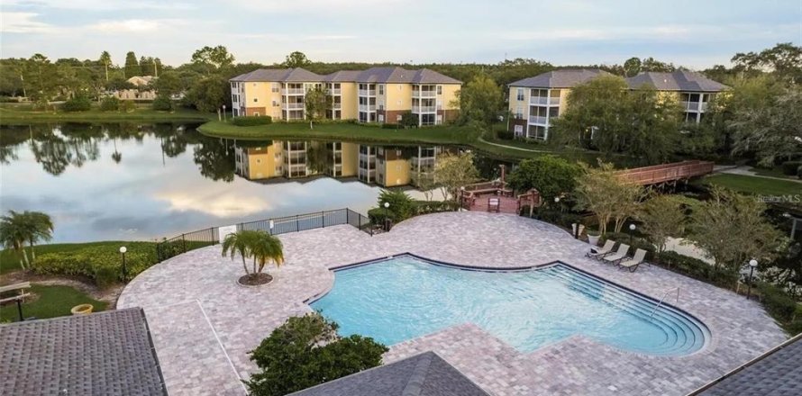 Condo à Tampa, Floride, 1 chambre  № 2212515