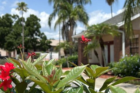 Condominio en alquiler en Land O' Lakes, Florida, 2 dormitorios, 74.32 m2 № 2150031 - foto 19