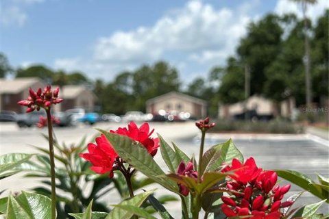 Condominio en alquiler en Land O' Lakes, Florida, 2 dormitorios, 74.32 m2 № 2150031 - foto 23