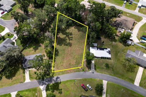 Land in Belleview, Florida № 2204247