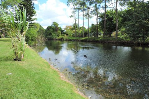 Apartamento en alquiler en Royal Palm Beach, Florida, 2 dormitorios, 128.48 m2 № 2263428 - foto 12