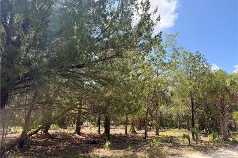 Land in Inglis, Florida № 2232477 - photo 3