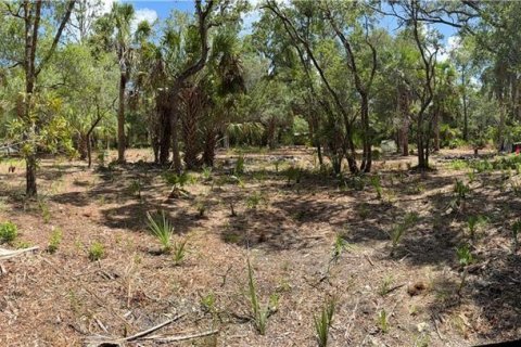 Land in Inglis, Florida № 2232477 - photo 6