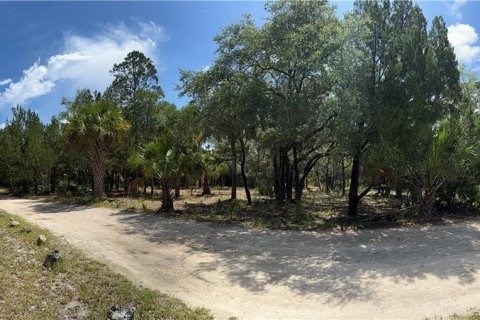 Land in Inglis, Florida № 2232477 - photo 11