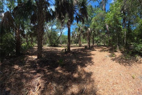 Land in Inglis, Florida № 2232477 - photo 7