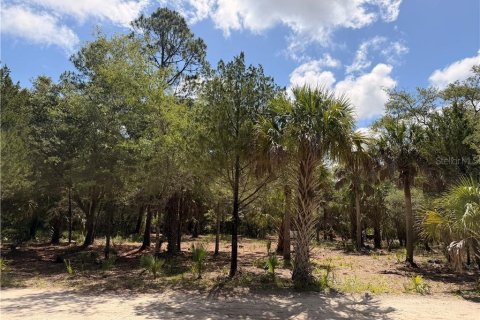 Land in Inglis, Florida № 2232477 - photo 2